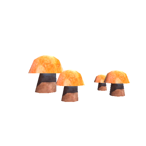 Mushroom_Group_2
