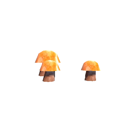 Mushroom_Group_2
