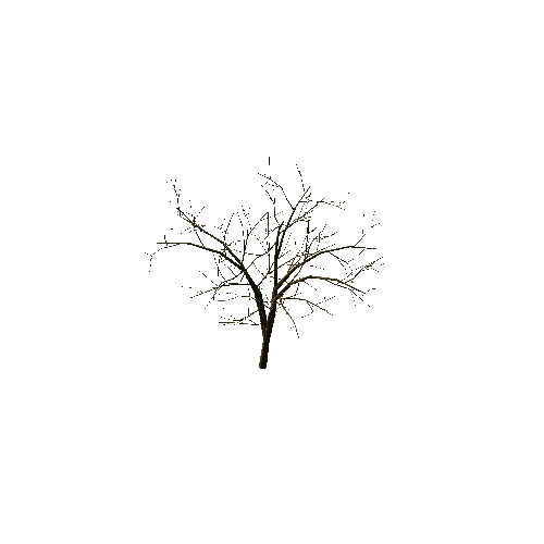 Bare_Detailed_Tree_1A