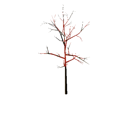 Full_Tree_1B(Cherry)