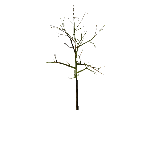 Full_Tree_1B3