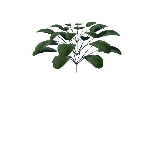 Plant_1A1