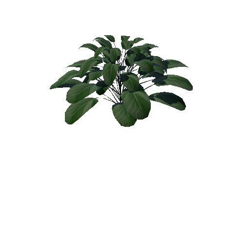 Plant_1A1_B