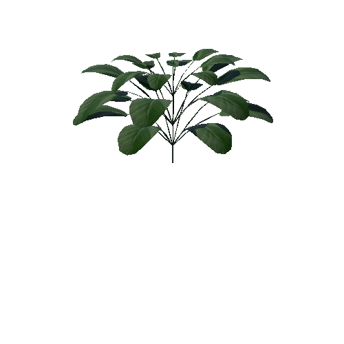 Plant_1A1_Large