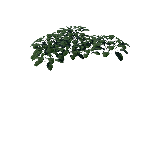 Plant_1A2_B