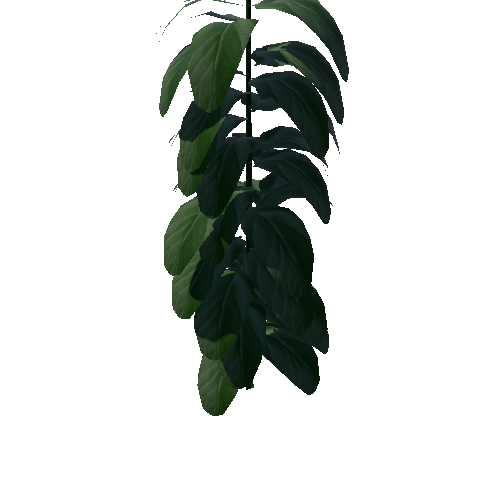 Plant_1A3