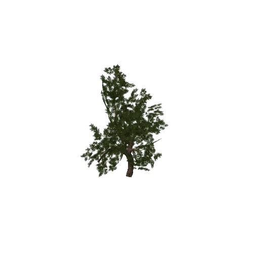 tree_01