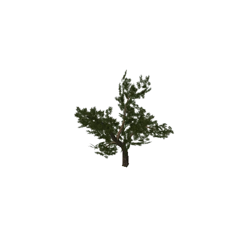 tree_02