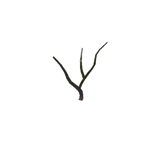 tree_03