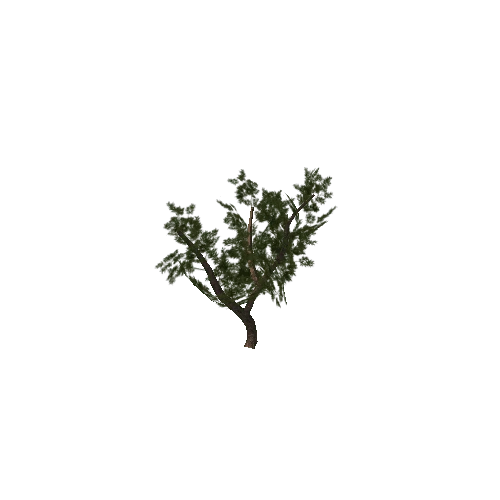 tree_03