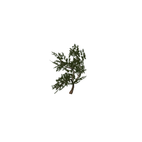 tree_05