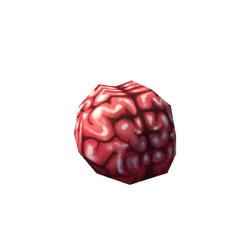 Brain-01