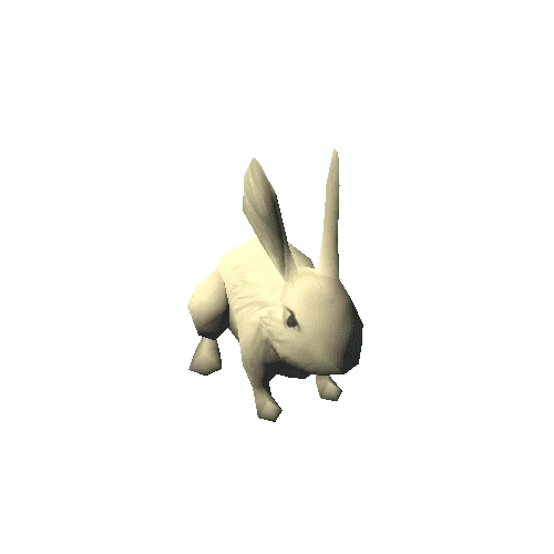 Rabbit