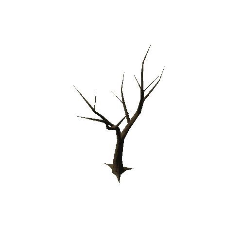 dry_tree_a