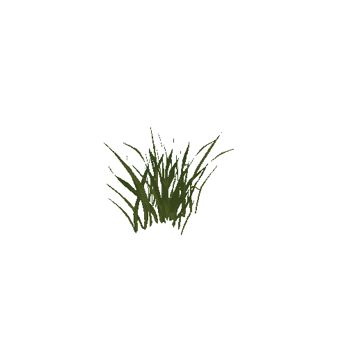 plant_grass