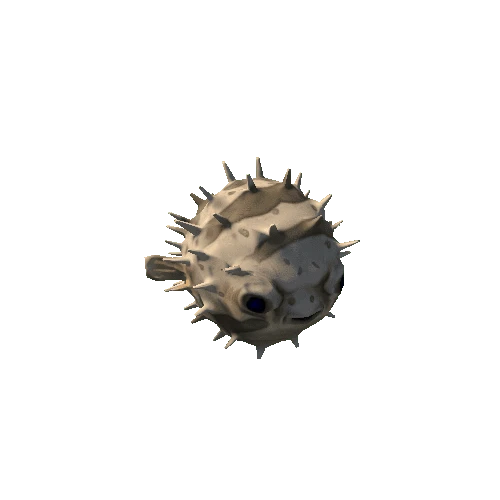 PA_PufferFish