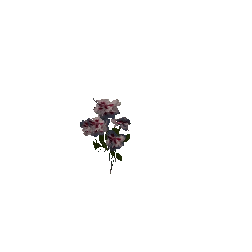 flowergroup2_a