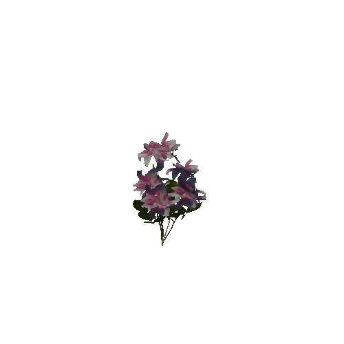 flowergroup3_a