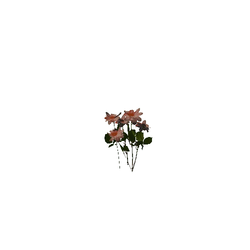 flowergroup4_a