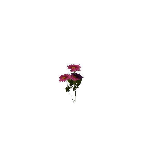 flowergroup4_b