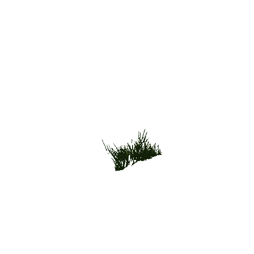 grass1_a