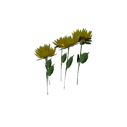 sunflowergroup