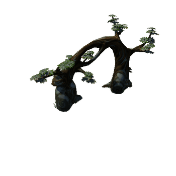 Tree_rock_01_1