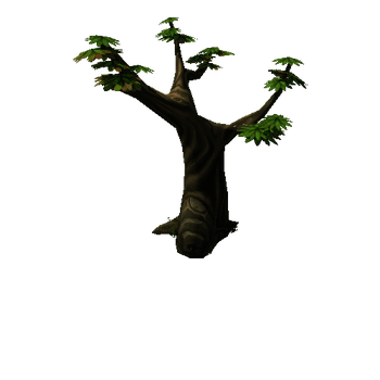 Tree_rock_02_1