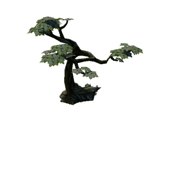 tree_01_1