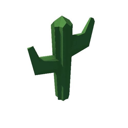 Cactus_2_tex