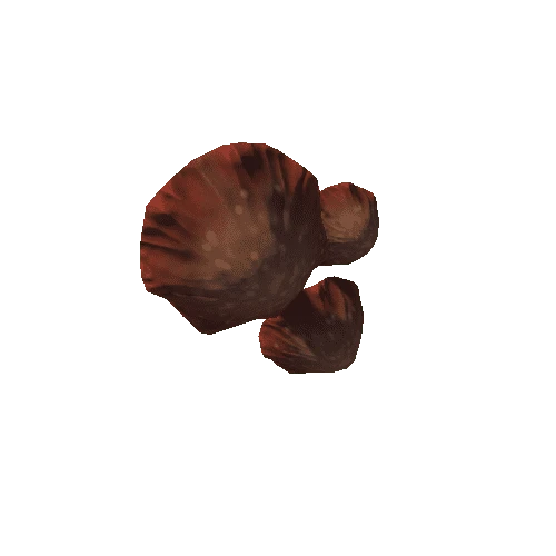 mushroom_wavy_brown_02