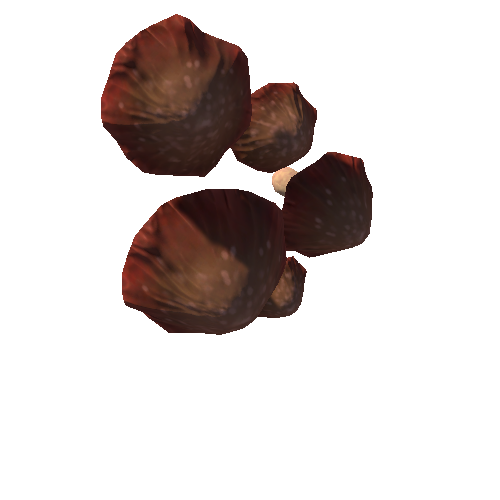 mushroom_wavy_brown_03