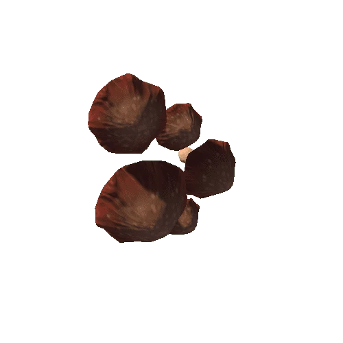 mushroom_wavy_brown_03