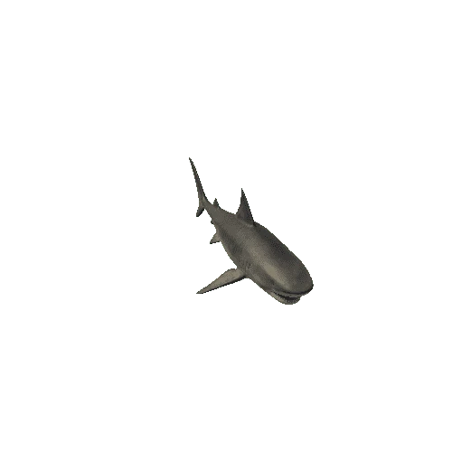 Triger_shark_model