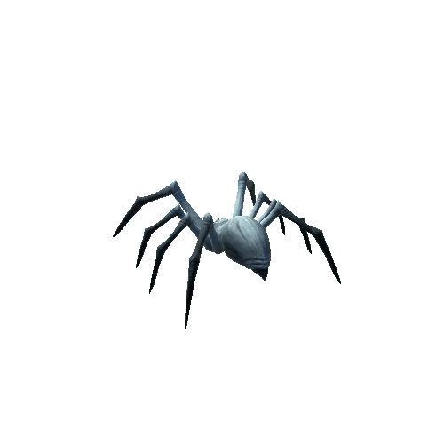 spider