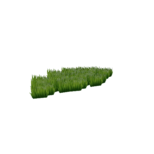 Grass