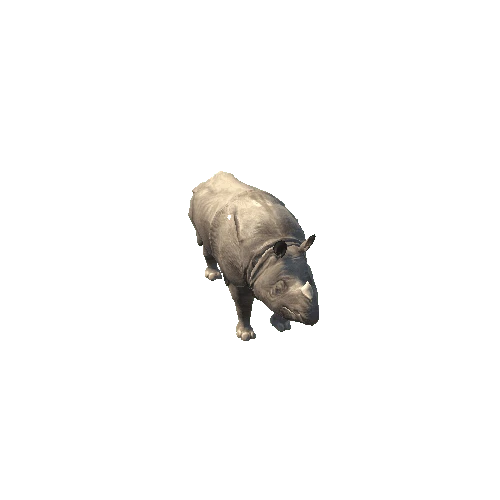 rhino@attack2