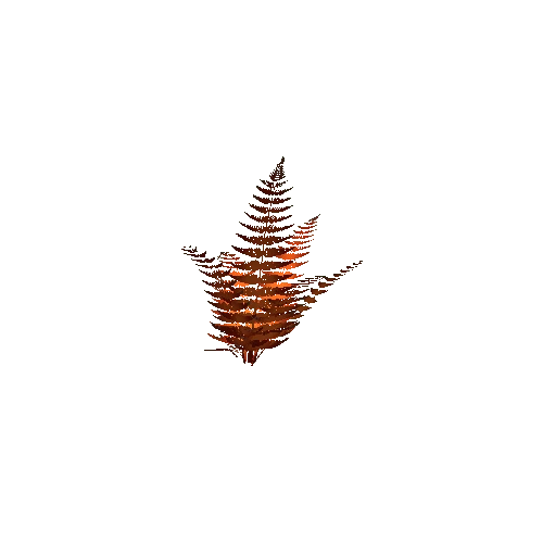 Fern_01_02_Autumn