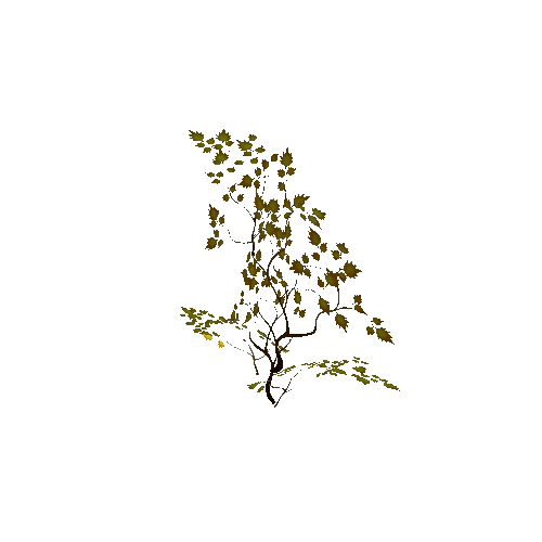 Shrub_01_Autumn