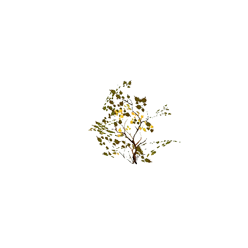 Shrub_02_Autumn