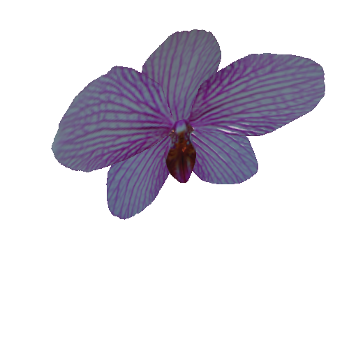 PRE_DEC_Orchid_01_Flower_01_1