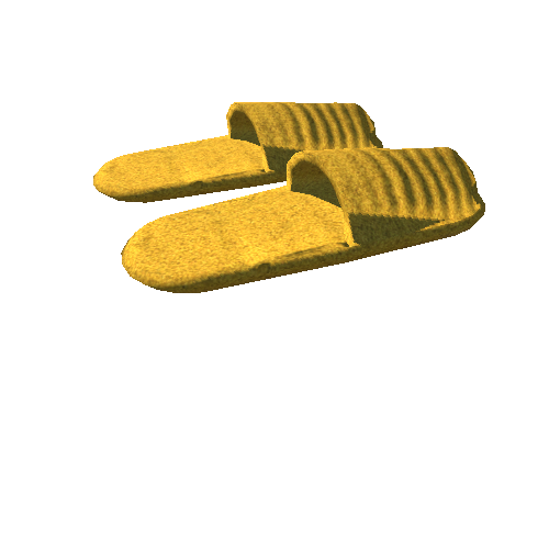 PRE_PRO_Slippers_01_16