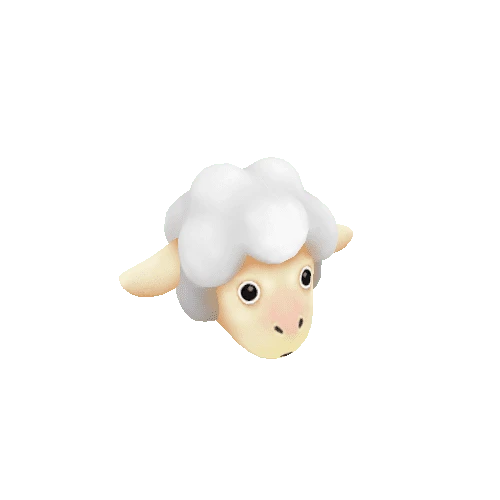 sheep