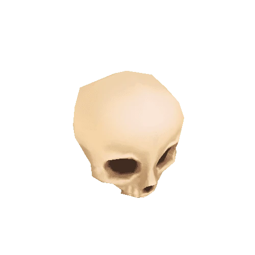 skull