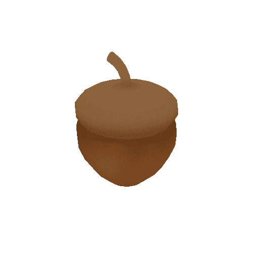 acorn