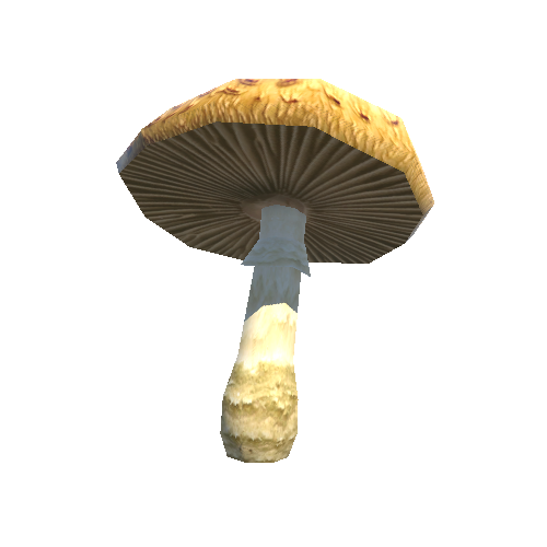 Mushroom01_A_prefab