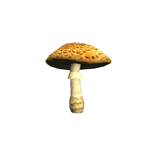 Mushroom01_B_prefab