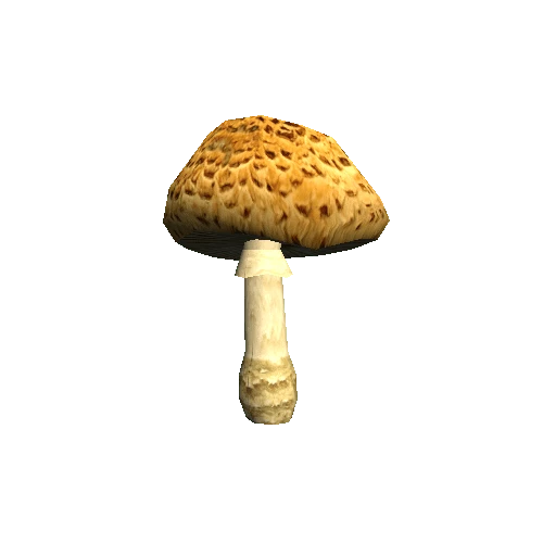 Mushroom01_C_prefab