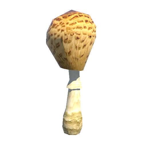 Mushroom01_D_prefab