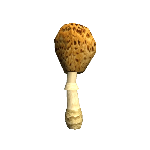 Mushroom01_D_prefab